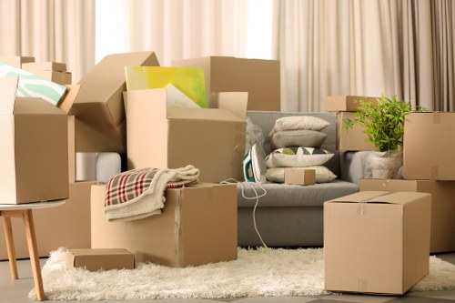 Student and flat move support for small removals in Stjamess