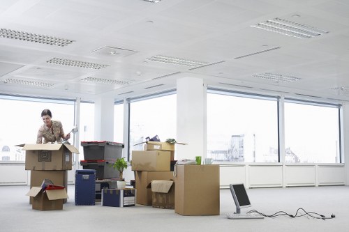 Professional movers carrying boxes for a Stjamess relocation